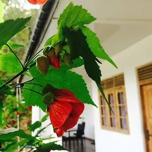  Penzion View Guest