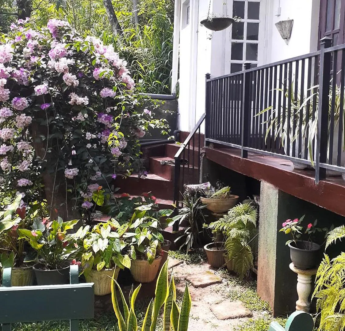 Kandy Mountain Cottage