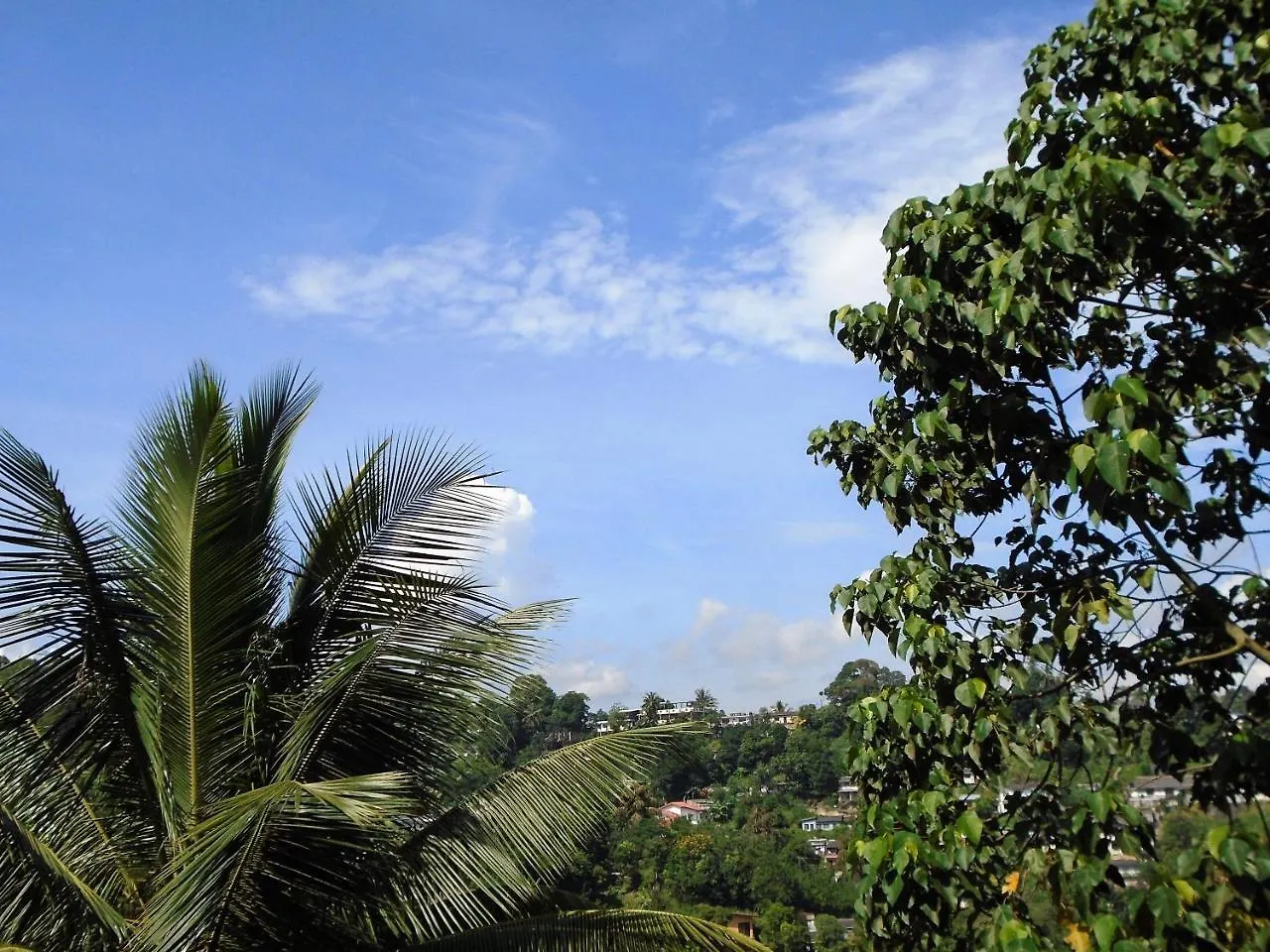 Kandy Mountain Cottage Rezort